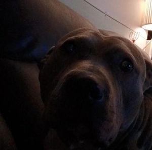 Meet your Posher, Jaylon